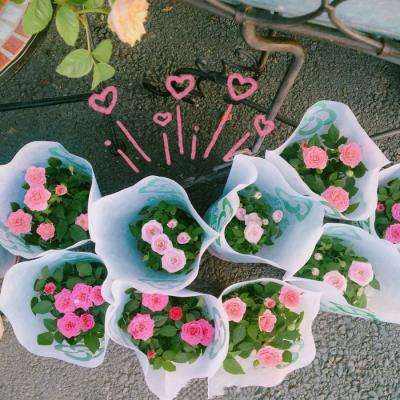 Kaiyun·体育(全站)